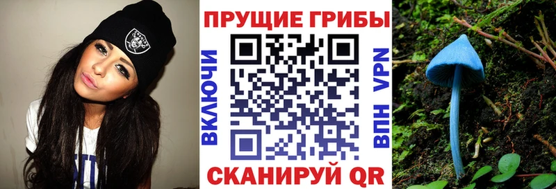 Псилоцибиновые грибы MAGIC MUSHROOMS  Купить закладки  Ершов 